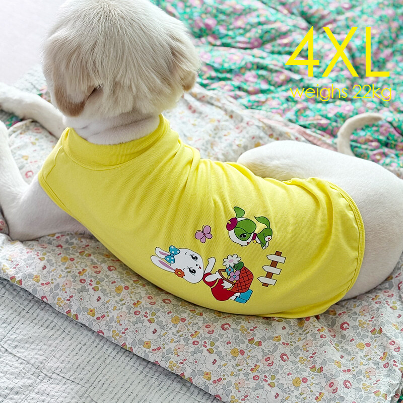 OOPS!｜Vivid Bunny T (黃色)