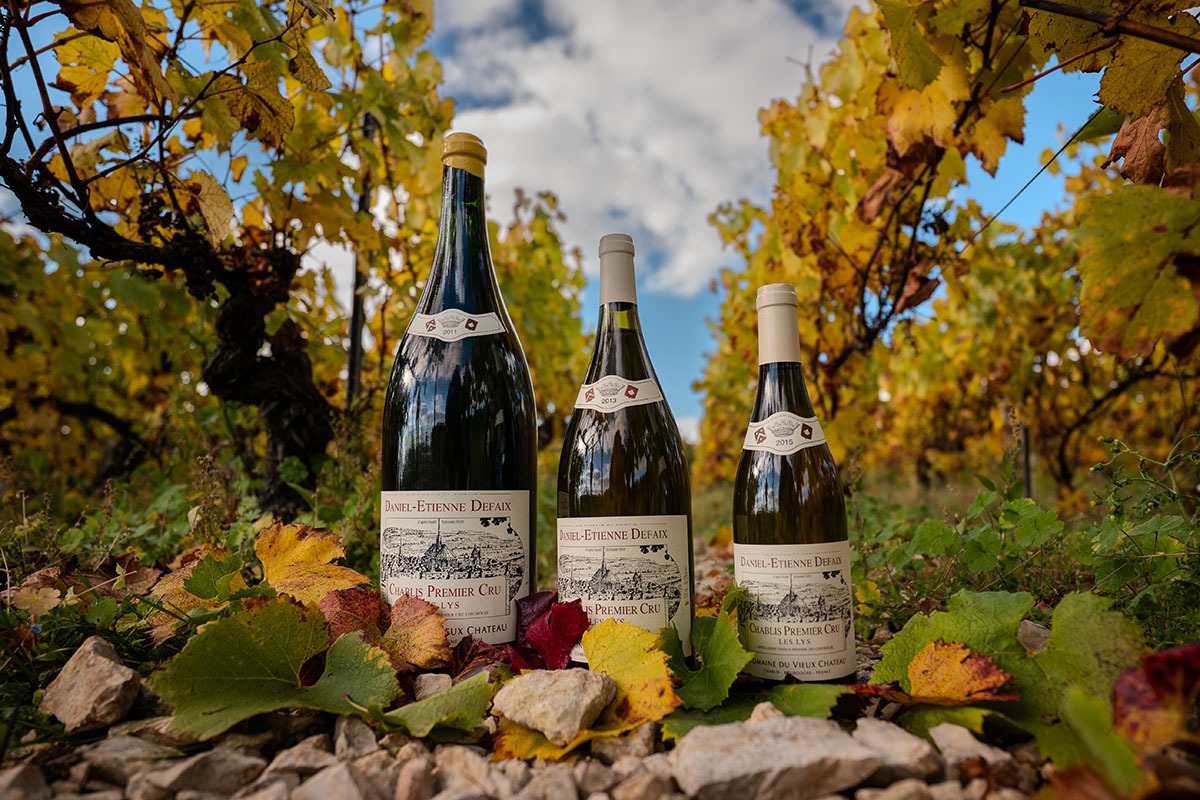 Domaine Defaix vineyard view