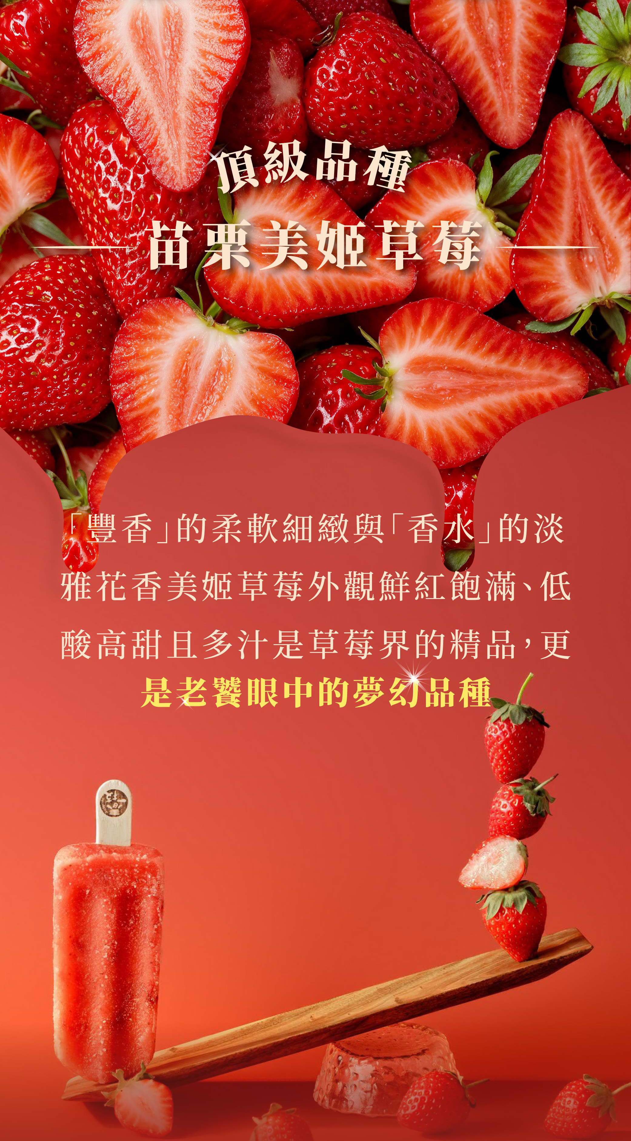 春一枝美姬草莓預購 03