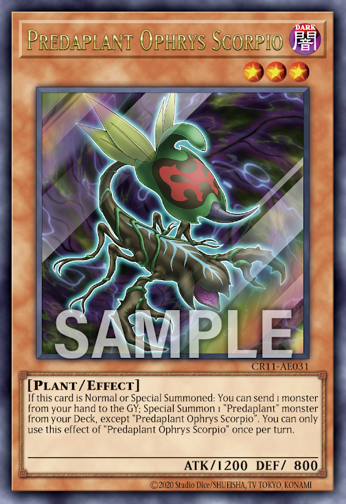 CR11-AE031 (UR/SER/PSER)Predaplant Ophrys Scorpio(捕食植物 蜂蘭蠍)