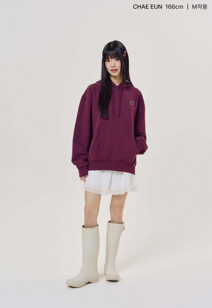 【直播】LMR LX041364 大 Logo 連帽衛衣(BQQHDZF302)