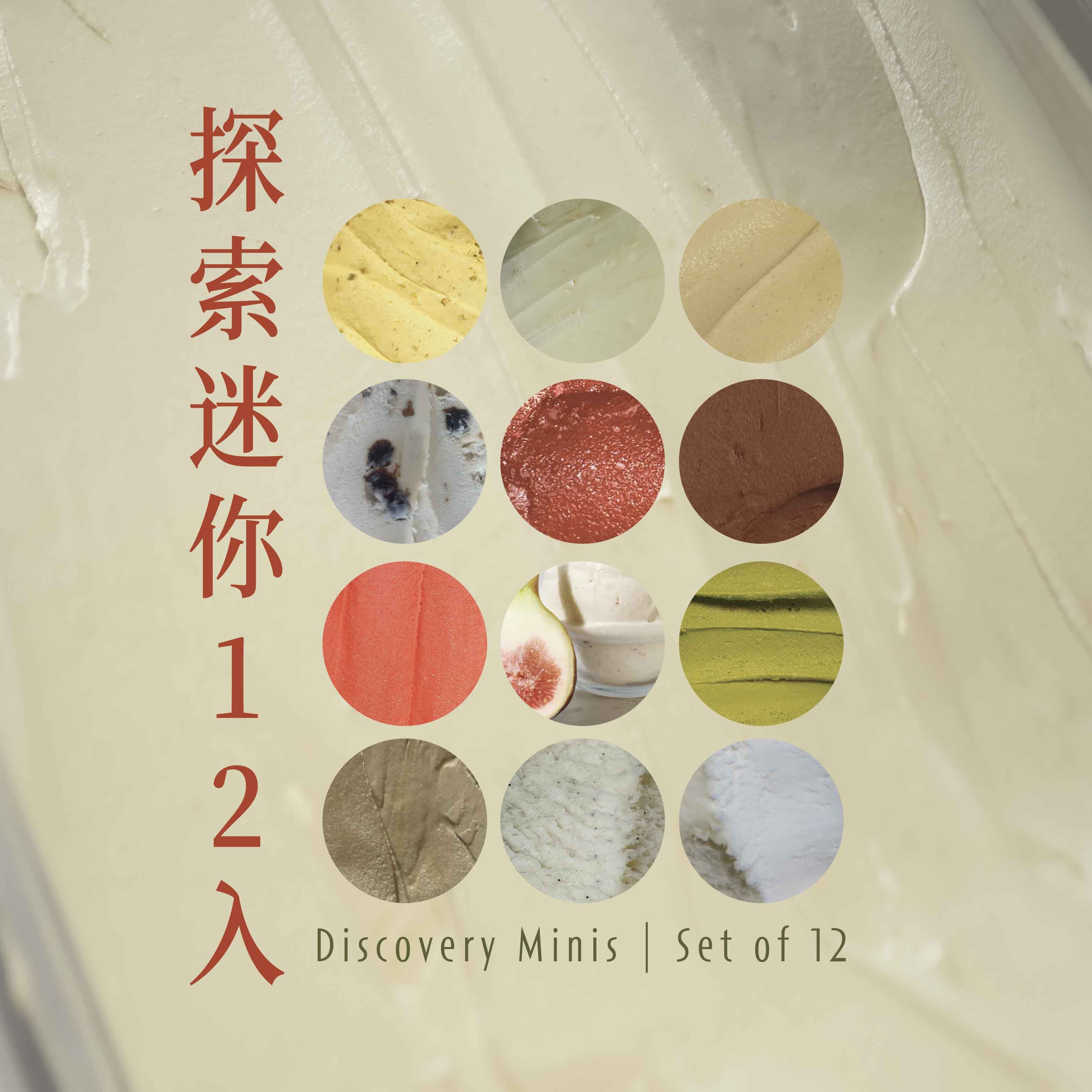 孚日探索迷你12入
