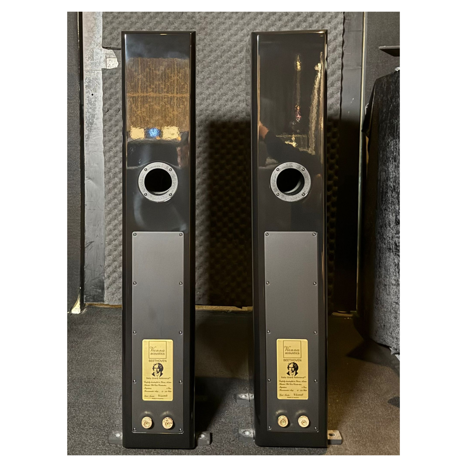 Vienna Acoustics Beethoven Baby Grand Ref. | Aria Audio