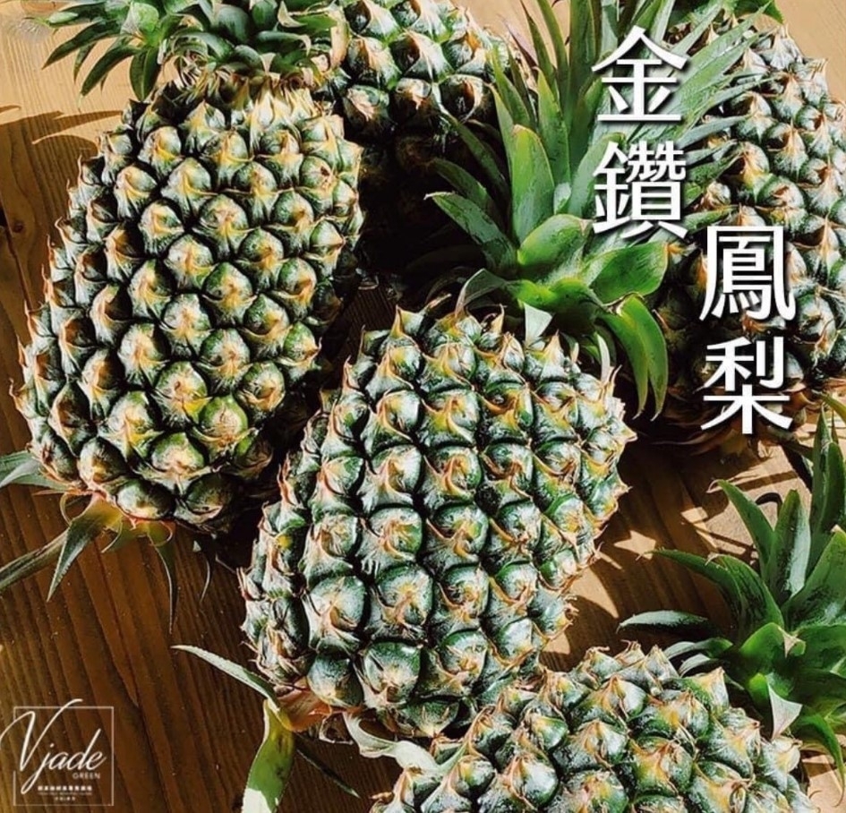 預購【04月21日(二)到貨】山上區農會💮金鑽鳳梨17號【約2.5斤/顆】