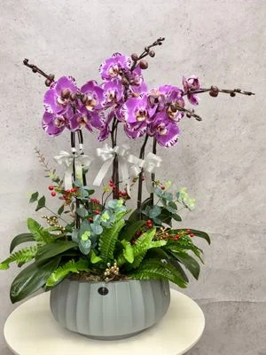 W - Orchids/Green Plants - Grand Ambitions_Treasure Map_OR217