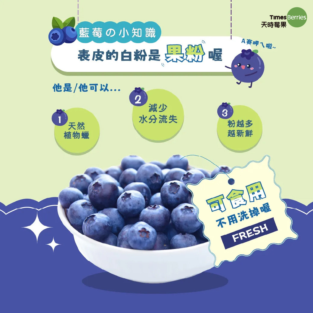 爽身粉v.s發霉【天時莓果 Timesberries】
