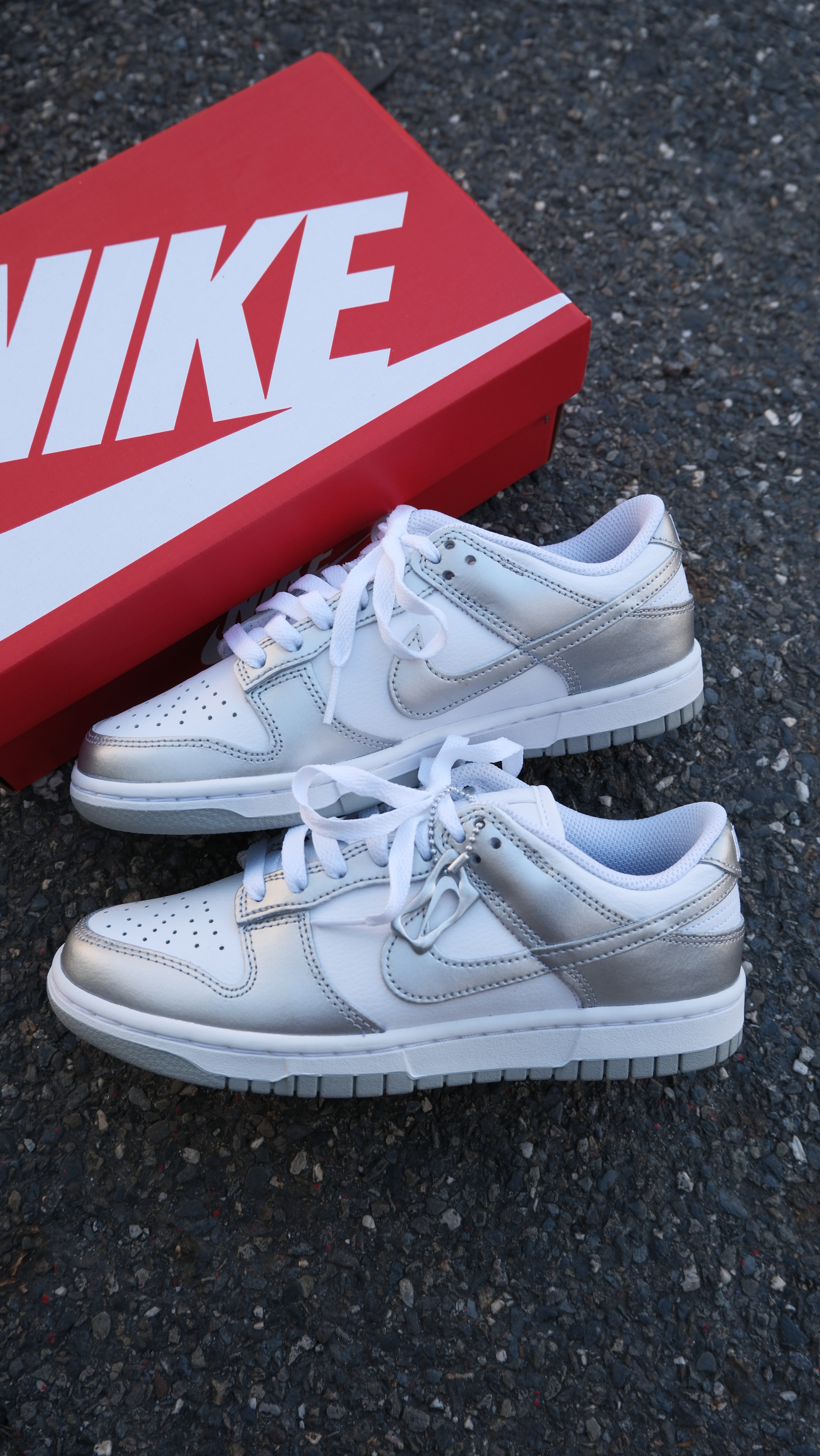 NIKE W DUNK LOW 'Metallic Silver' 白銀 經典 吊飾 皮革 復古 休閒鞋 FV1311-100