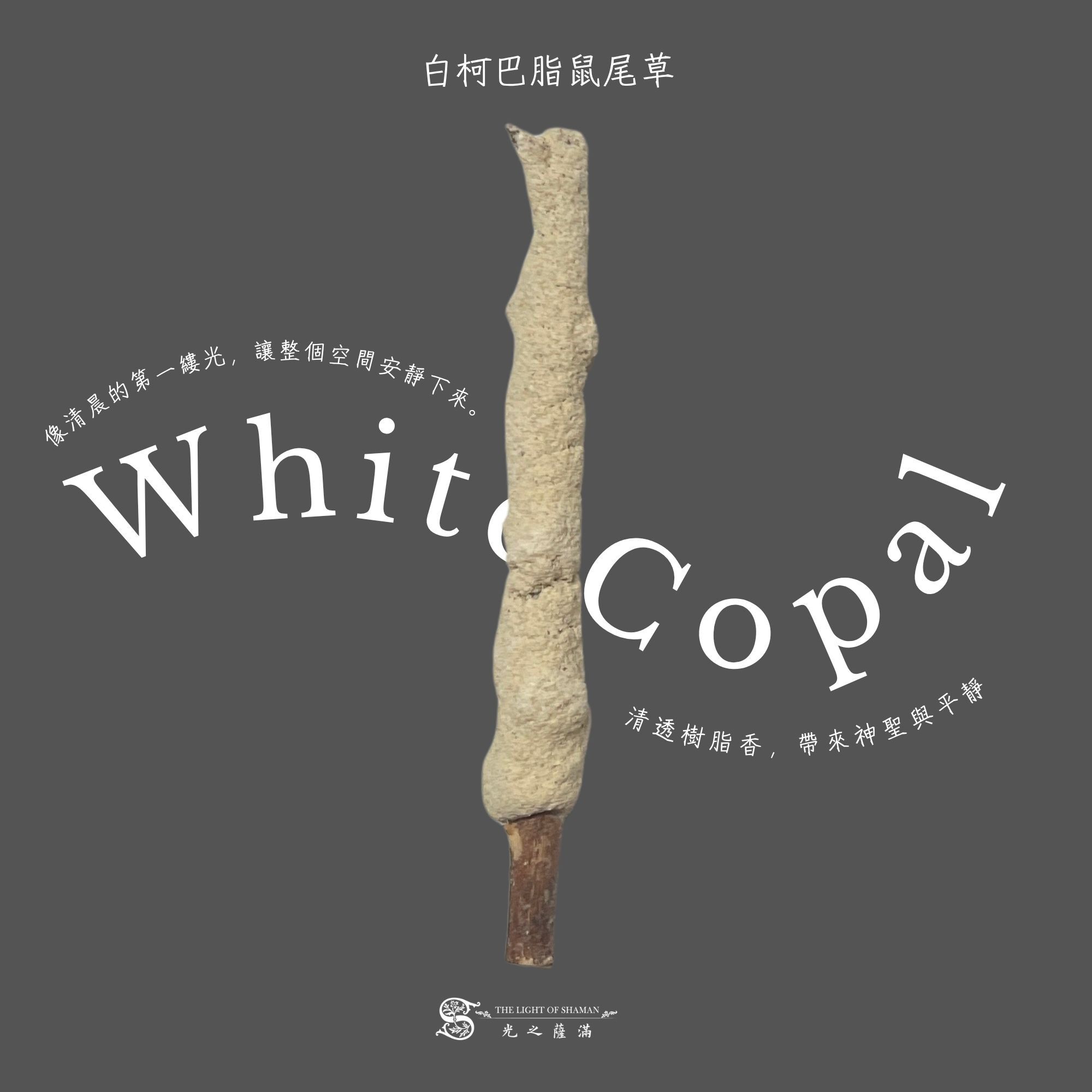 神聖鼠尾草之旅 – 8 支香氛鼠尾草 Sacred Sage Odyssey – 8 Infused Sticks  - 光之薩滿