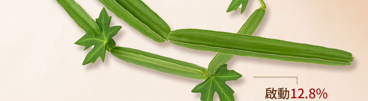 嚴萃生醫-懶人專利黑科技 一眠一寸-22