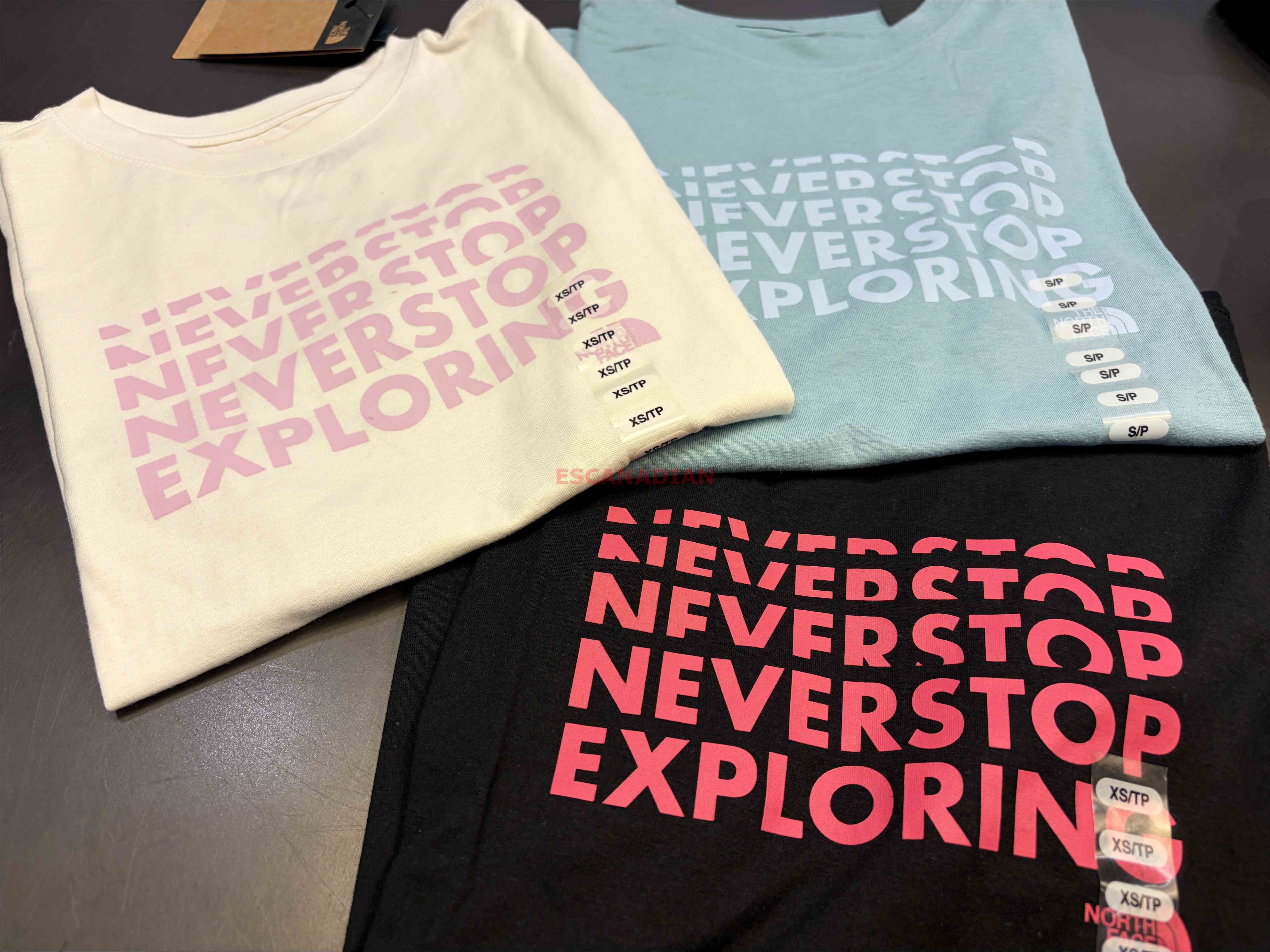 THE NORTH FACE 女大人 Never stop 標語 短TEE (3色)