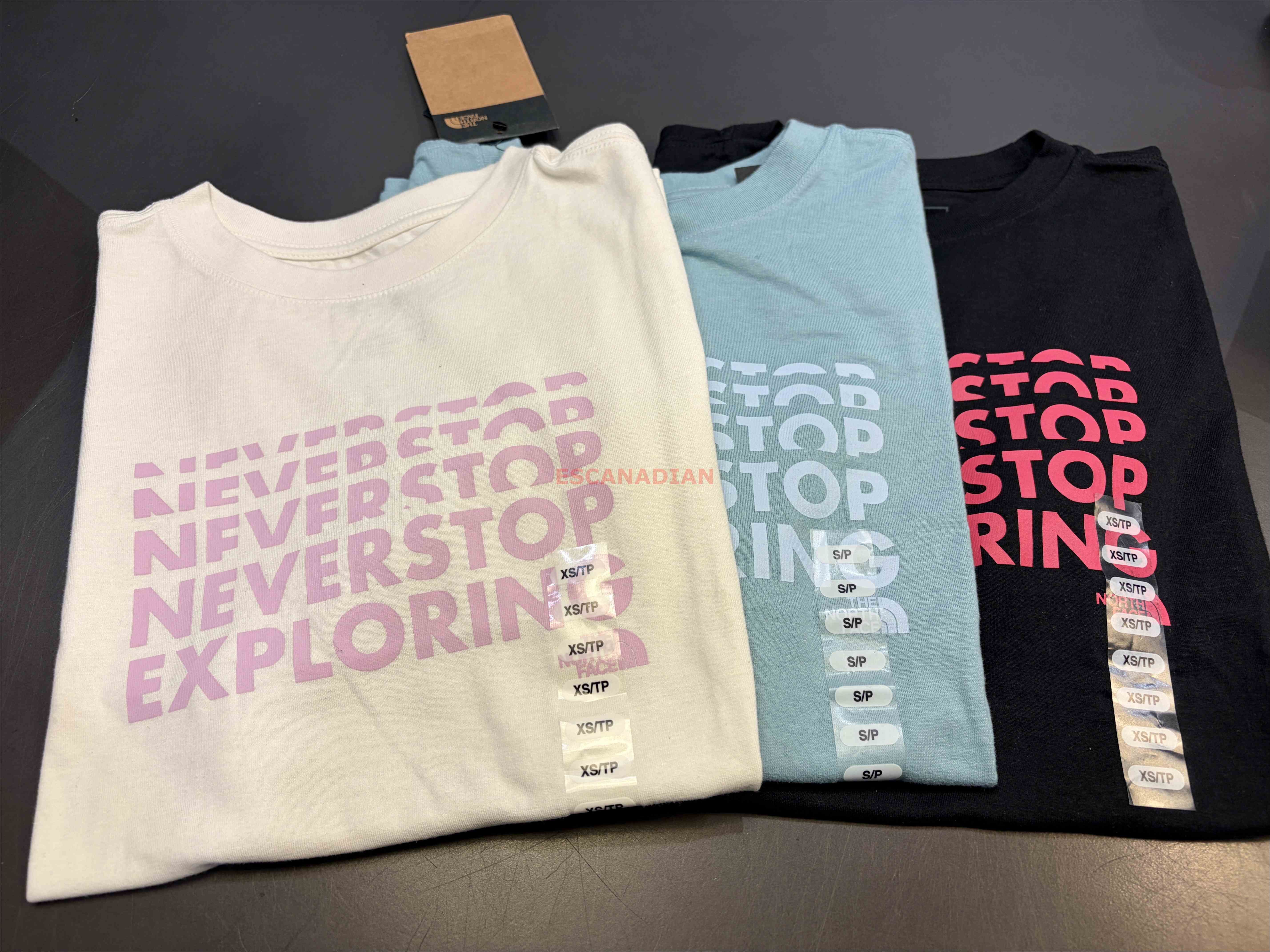 THE NORTH FACE 女大人 Never stop 標語 短TEE (3色)