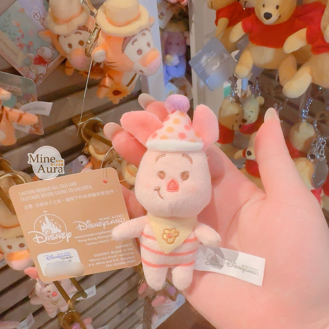 小熊維尼與好友們 甜蜜旅程 小豬 皮傑 piglet 絨毛 鑰匙圈 吊飾 小熊維尼 Winnie the Pooh -香港迪士尼樂園