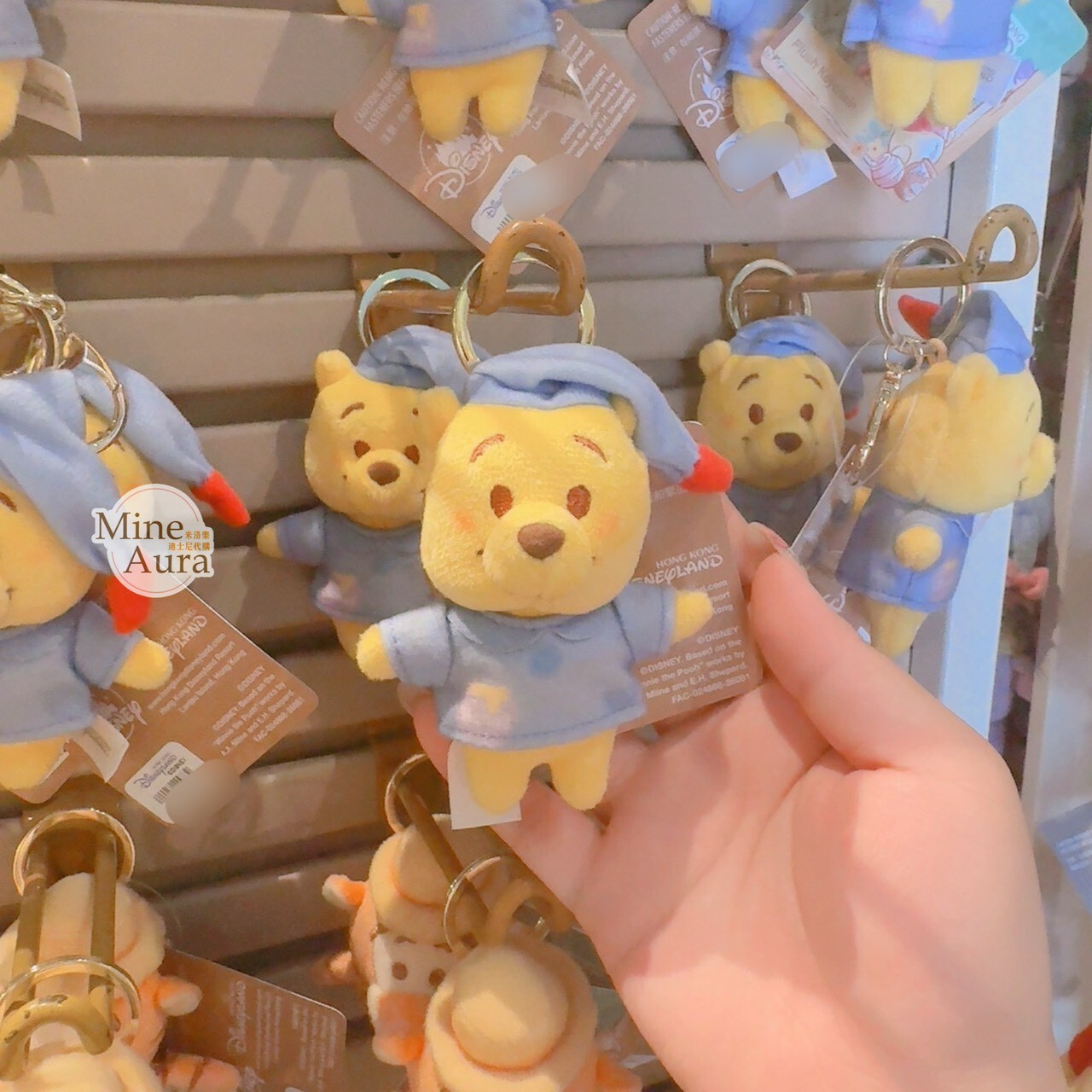 小熊維尼與好友們 甜蜜旅程 小熊維尼 Winnie the Pooh 絨毛 鑰匙圈 吊飾 -香港迪士尼樂園