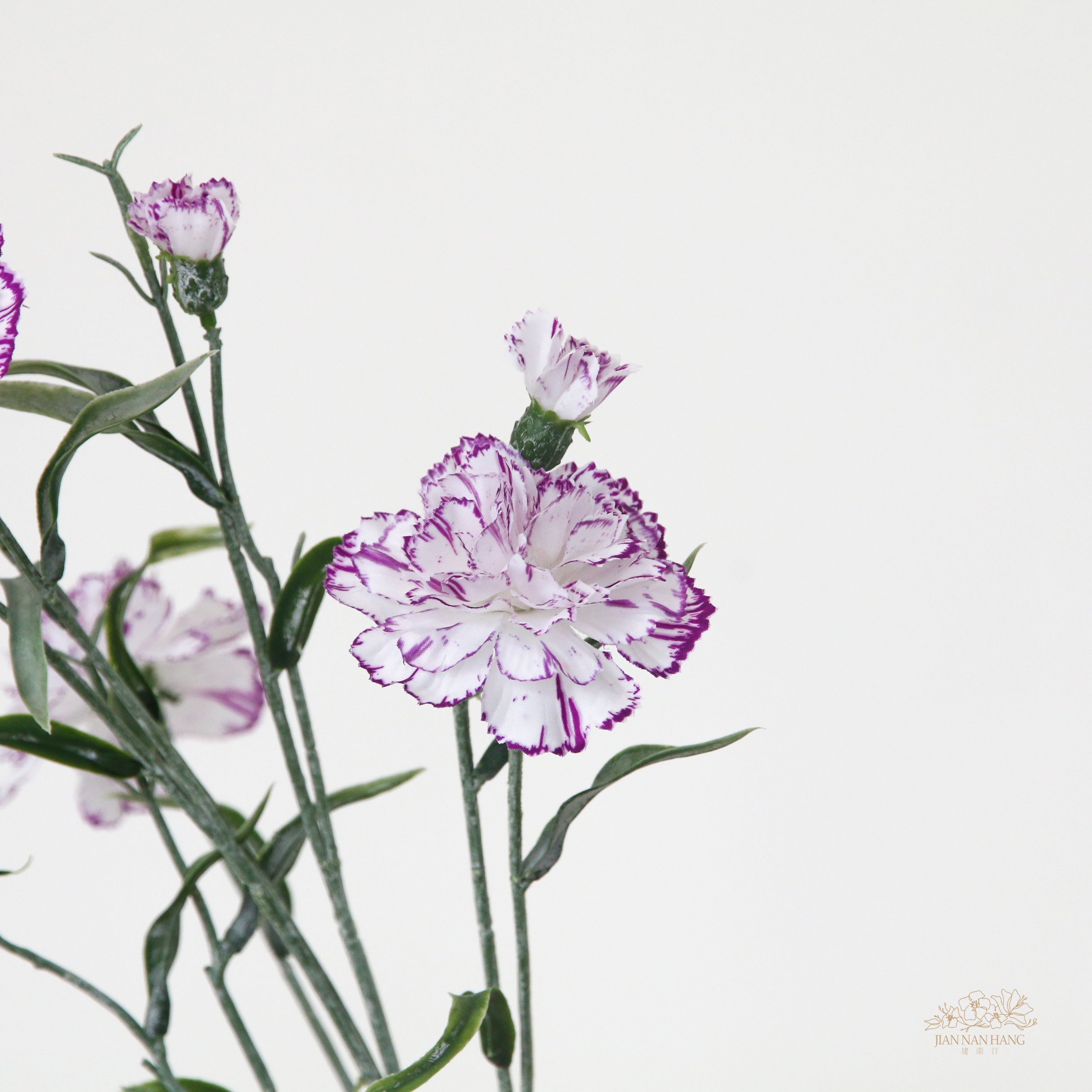 人造花 多頭康乃馨 白紫邊