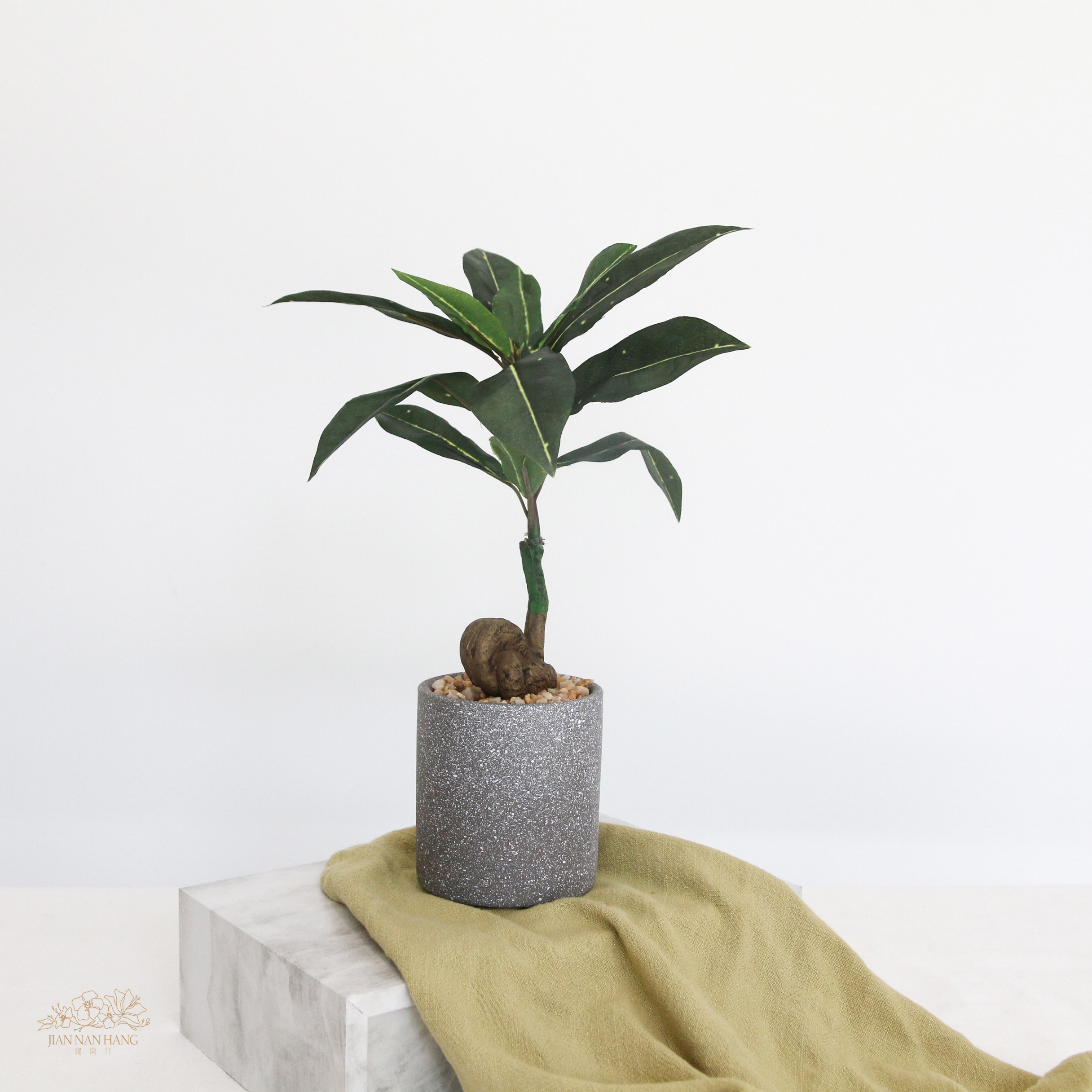 擬真樹 咖啡樹水泥盆栽 高29cm