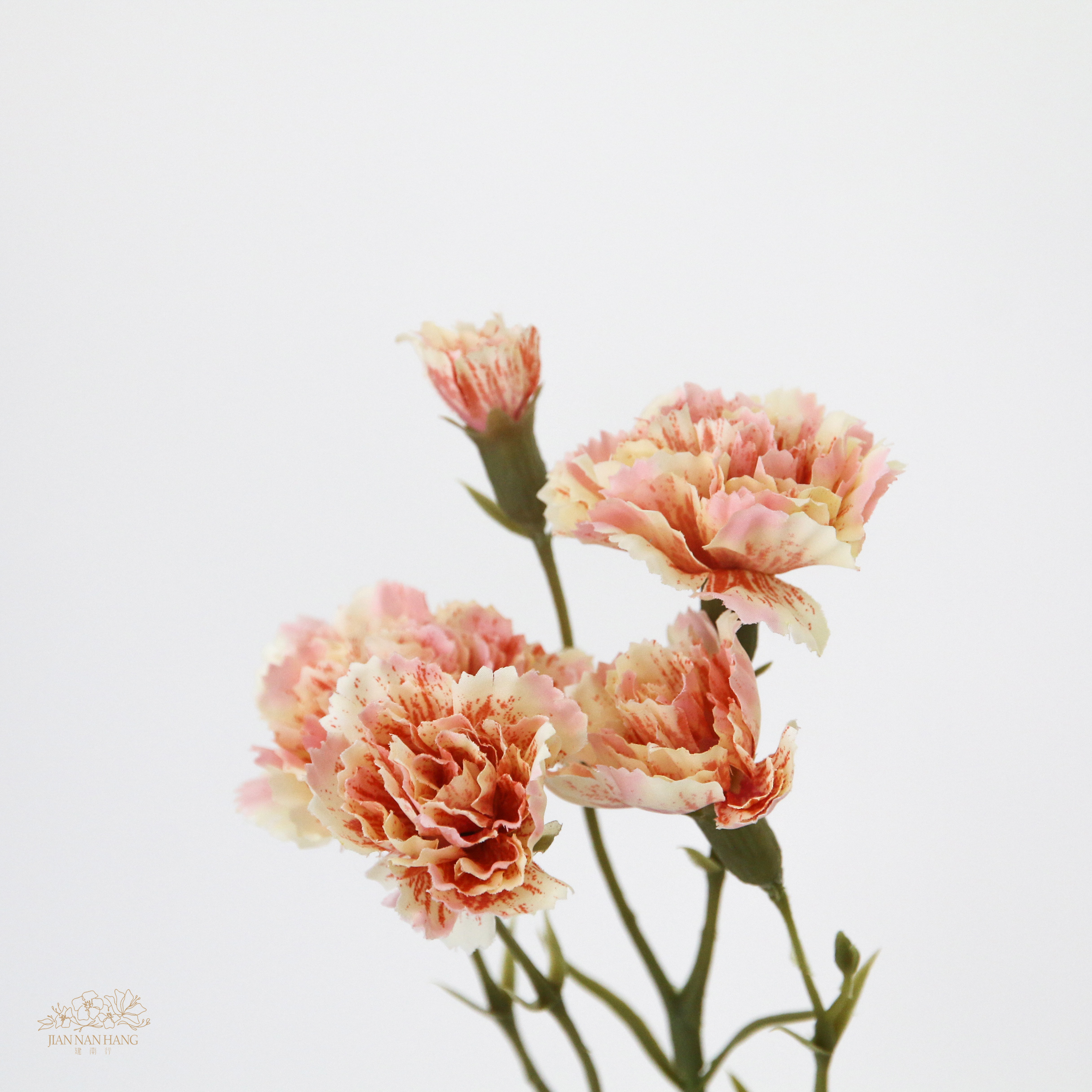 人造花 5頭漸層康乃馨 2色