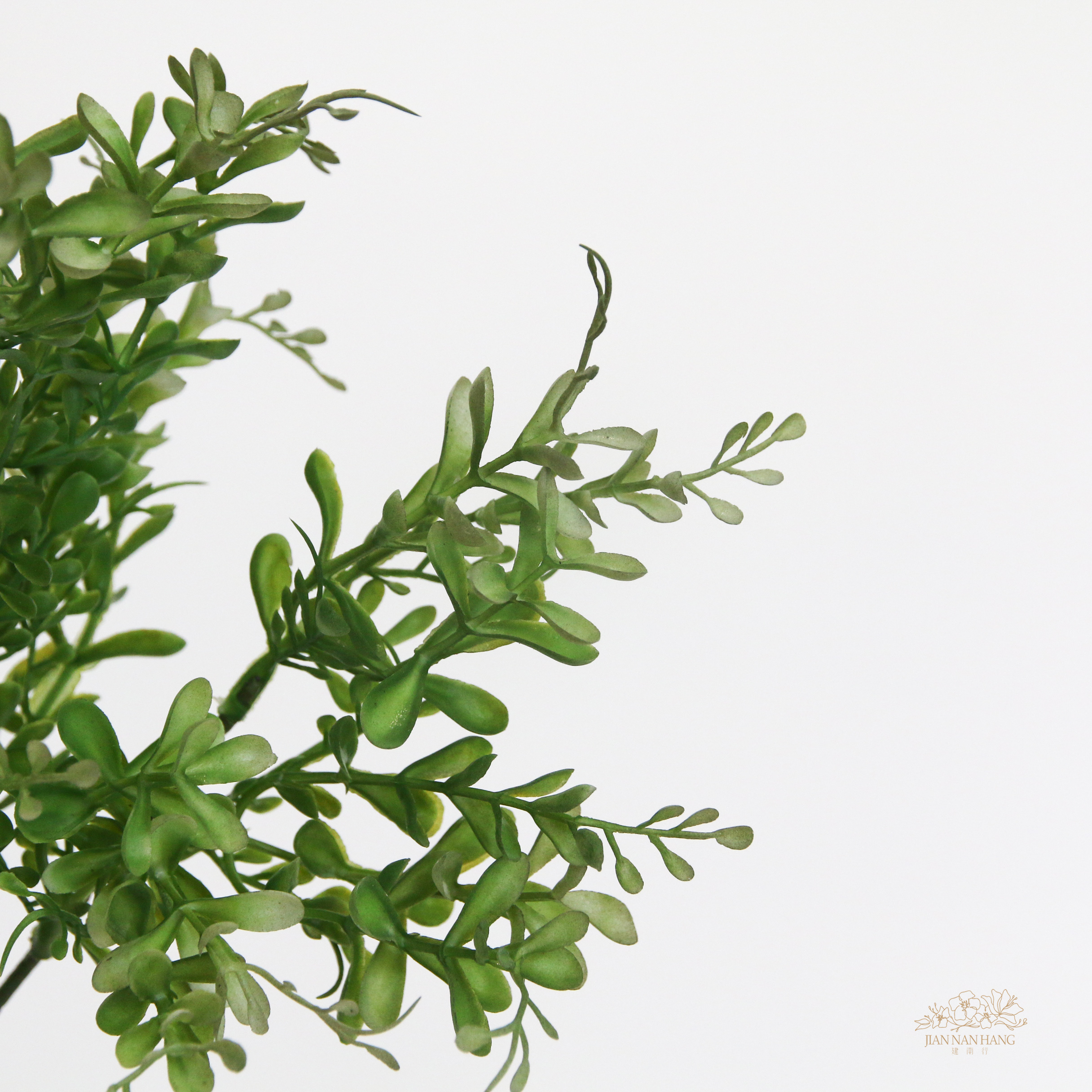 人造葉 青檸葉叢