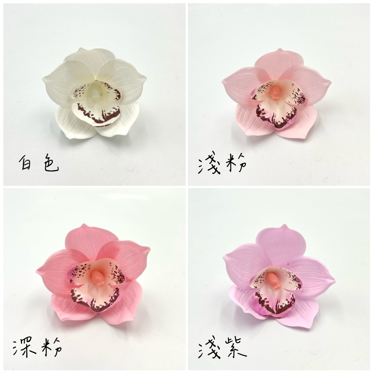 東亞蘭肥皂花 (16入)