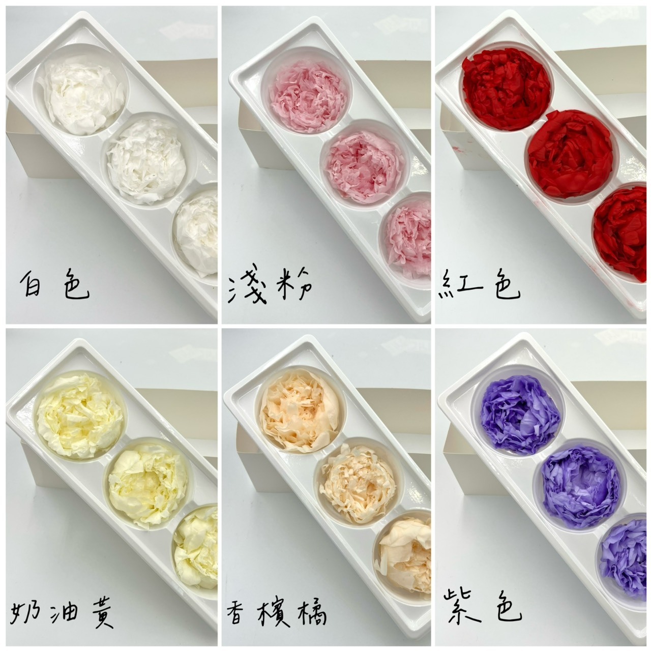 不凋芍藥(3朵)