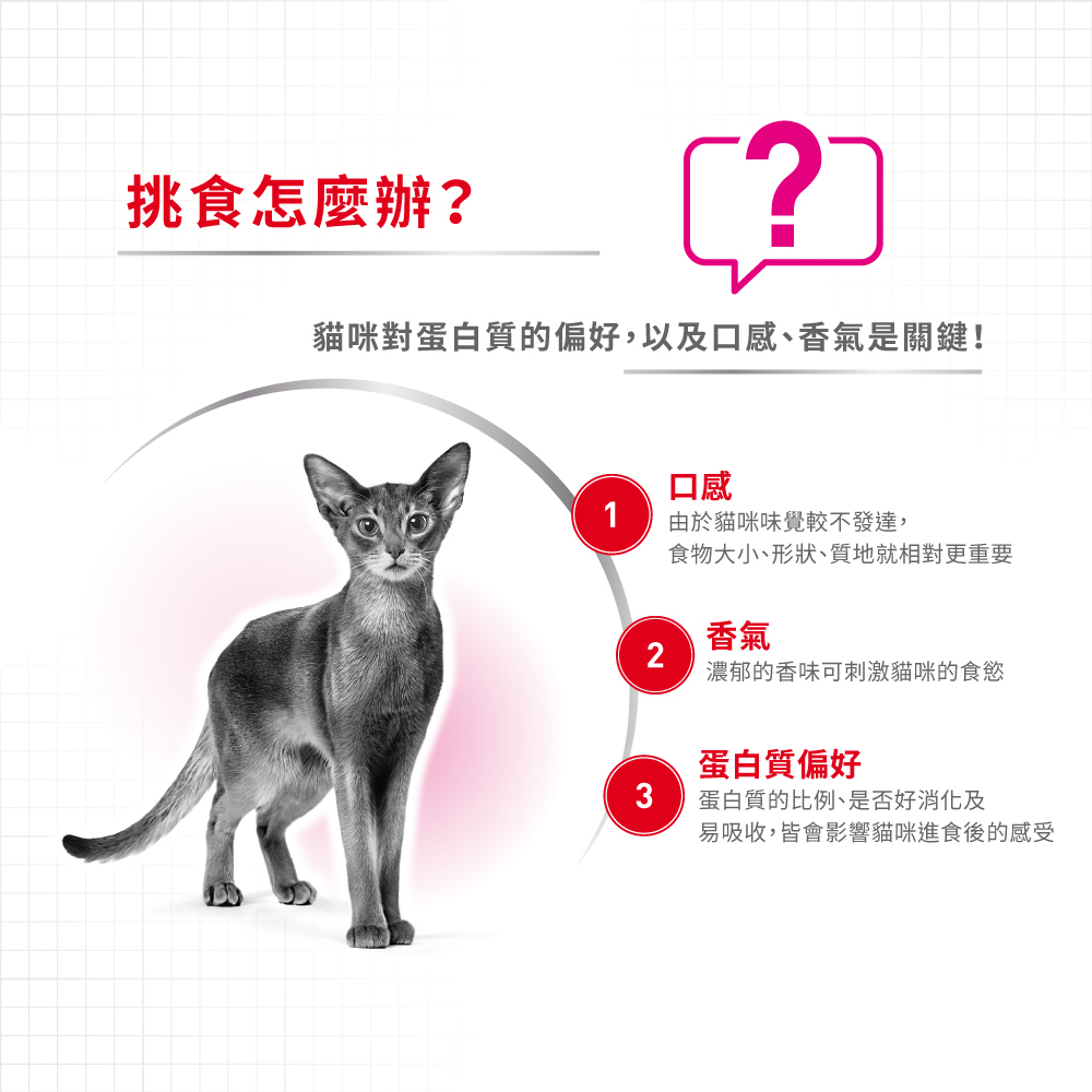 Royal Canin法國皇家挑嘴貓絕佳口感成貓E35