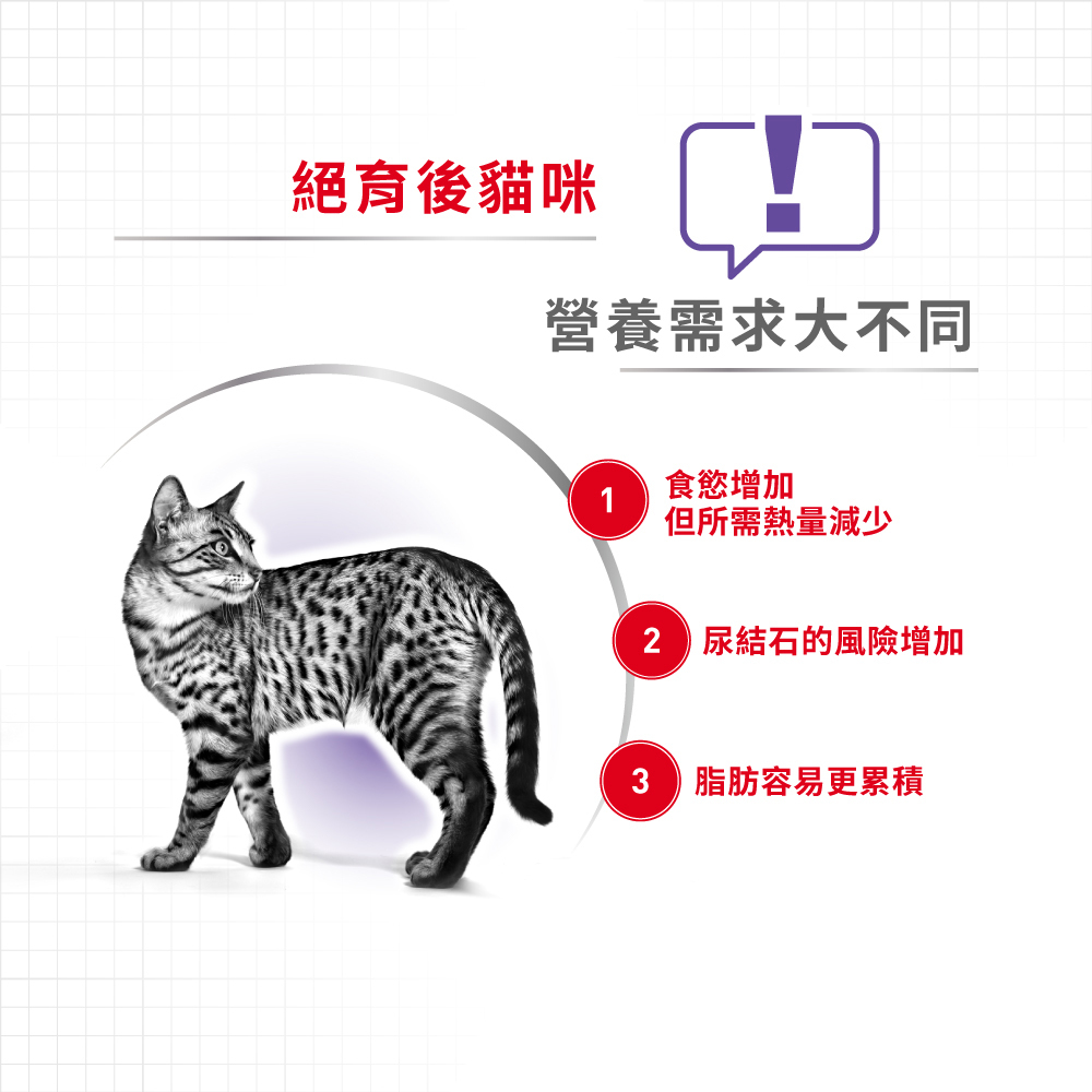 Royal Canin法國皇家絕育成貓S37