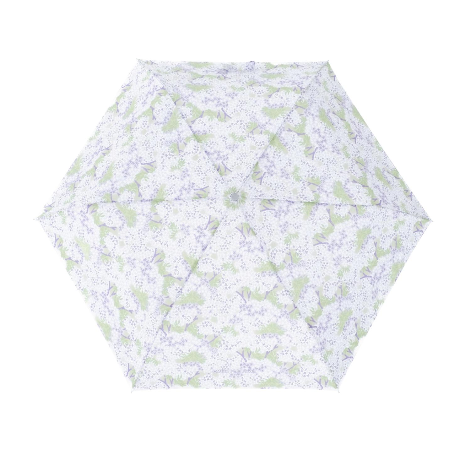 鈦輕超輕量自動傘/印花樂 x OMBRA/台灣原生樹/苦楝