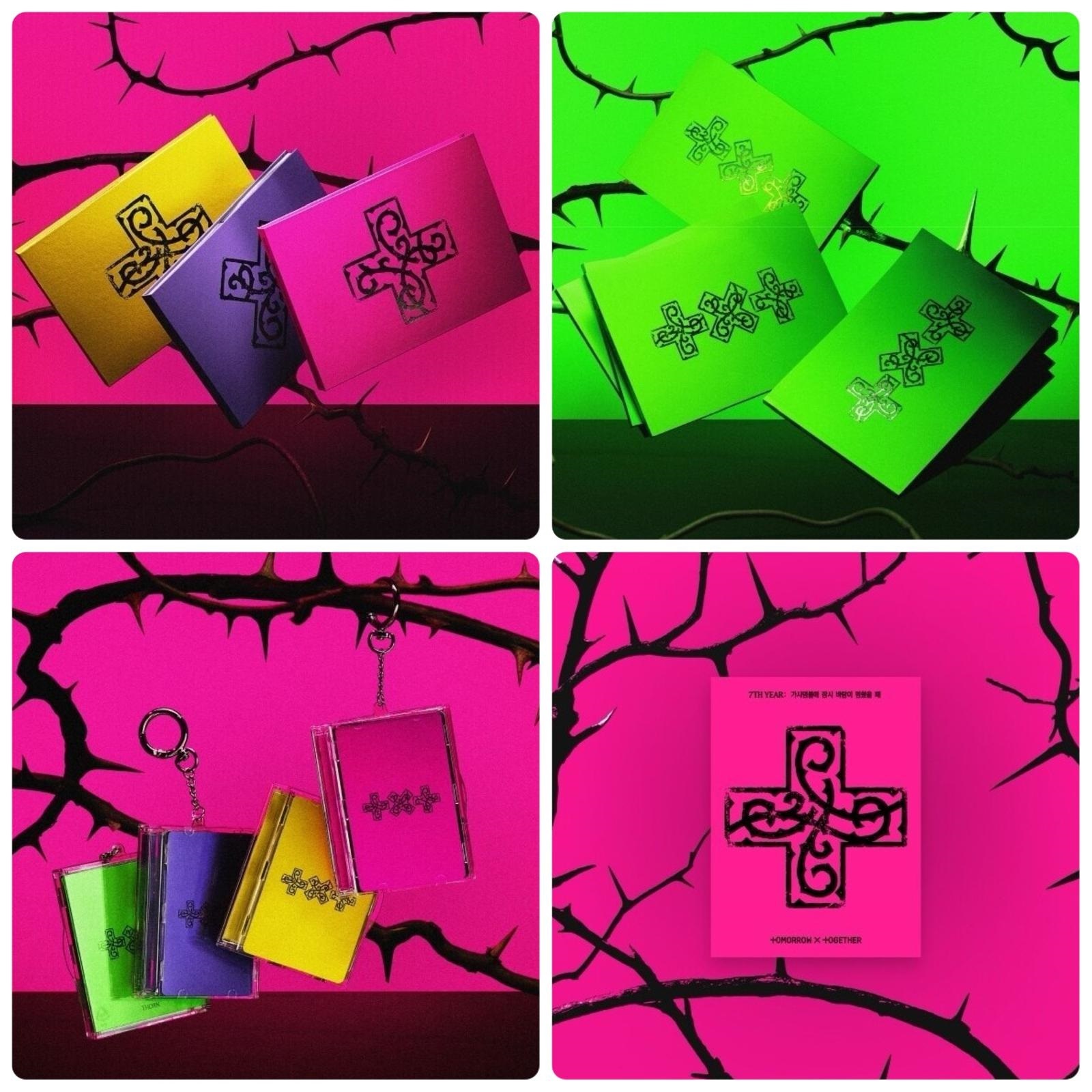 TXT ~ 7TH YEAR : A Moment of Stillness in the Thorns