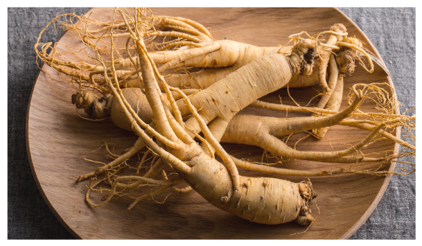 人蔘對人體有極大的保健功效