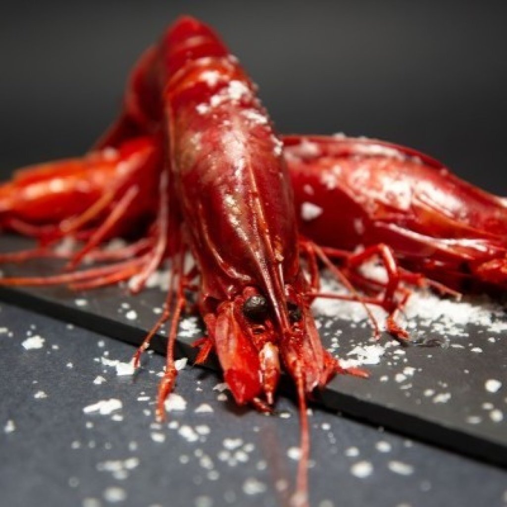 西班牙Buba Camaron 野生刺生級特大紅蝦 1kg+（約 5/7隻）