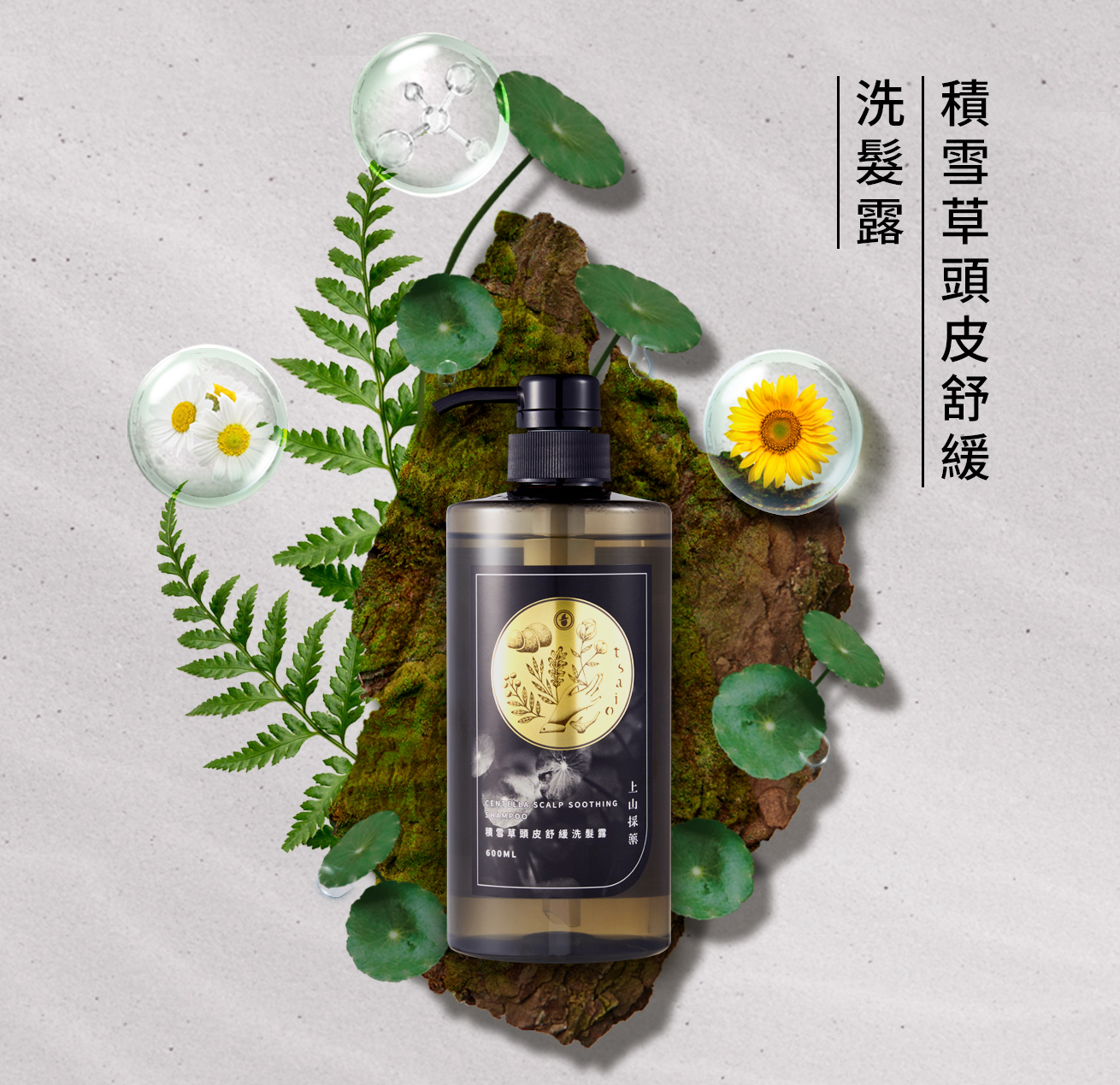tsaio上山採藥】積雪草頭皮舒緩洗髮露600ml-官方網站