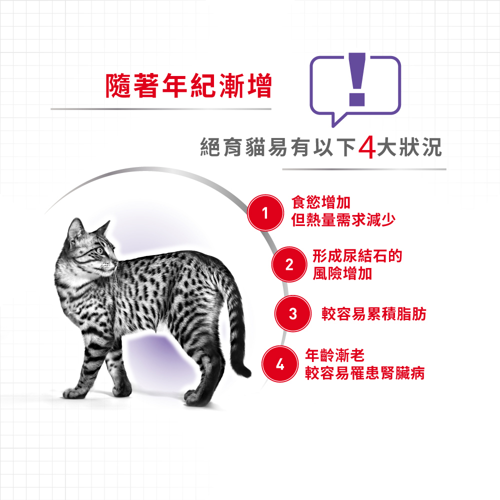 Royal Canin法國皇家絕育熟齡貓7+歲齡S36+7