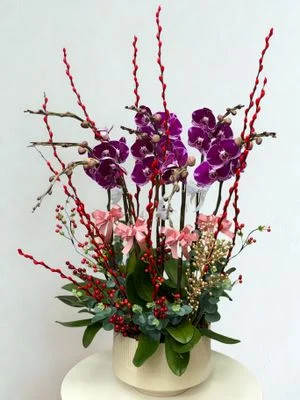 W - Orchids/Green Plants - Wealth from All Directions_The Richest Man ((3/4/5/6/8/10/12/18)) Sweet Flag_OR215