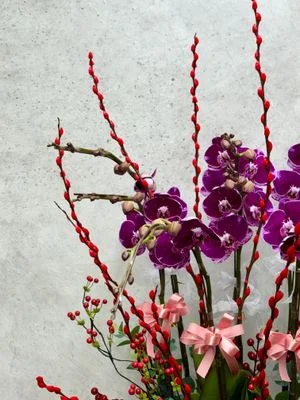 W - Orchids/Green Plants - Wealth from All Directions_The Richest Man ((3/4/5/6/8/10/12/18)) Sweet Flag_OR215