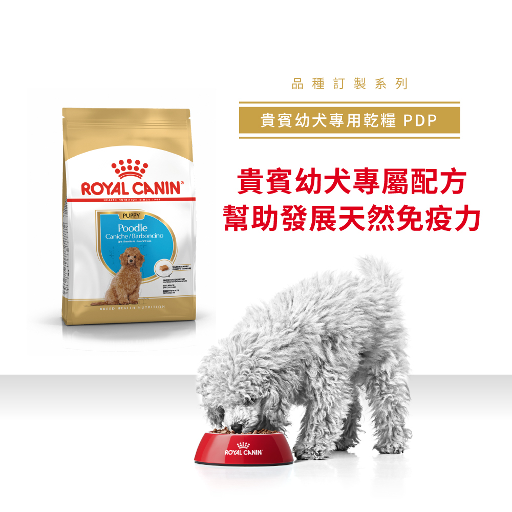 Royal Canin法國皇家貴賓幼犬PDP