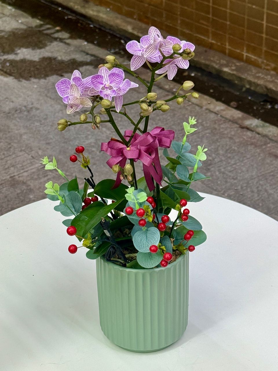 W - Orchids/Green Plants - Orchids/Green Plants - Two-Iris Phalaenopsis_OR008