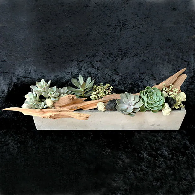 組合多肉長型植栽