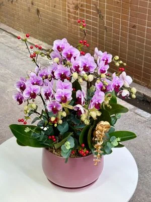 W - Orchid/Green Plants - Small Pink Flowers_10 Iris_OR006