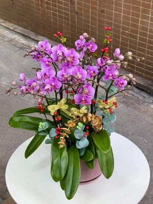 W - Orchid/Green Plants - Small Pink Flowers_10 Iris_OR006