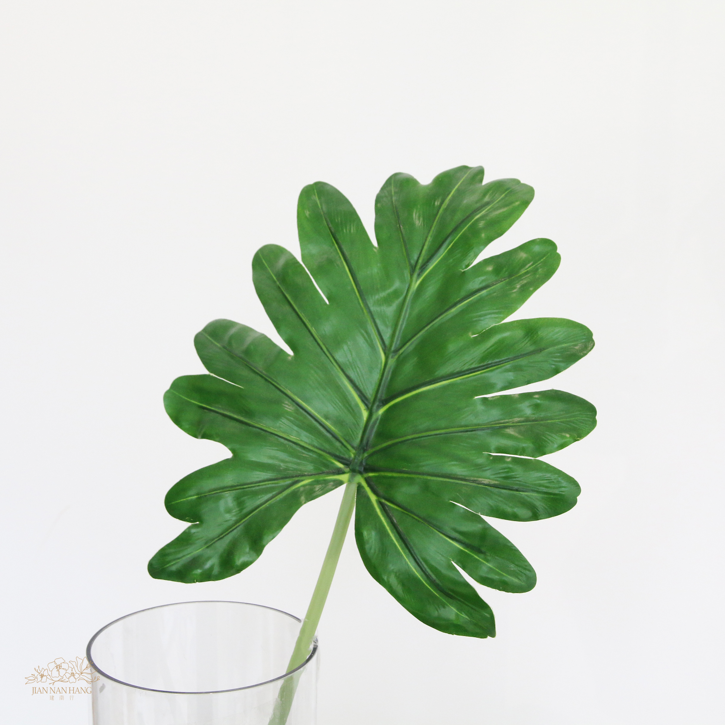 人造葉UV再生系列 圓葉天使蔓綠絨
