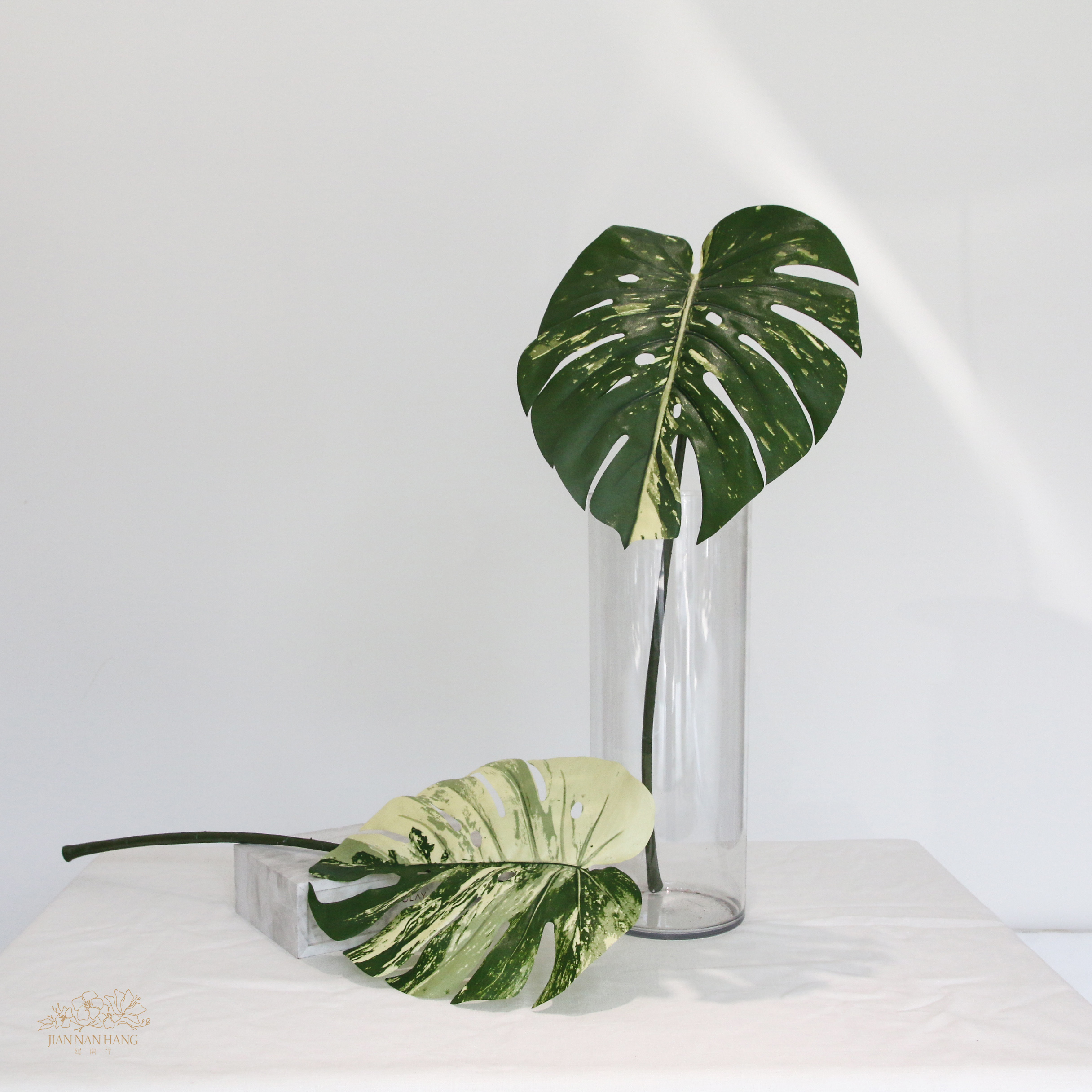 人造葉 龜背芋 2色