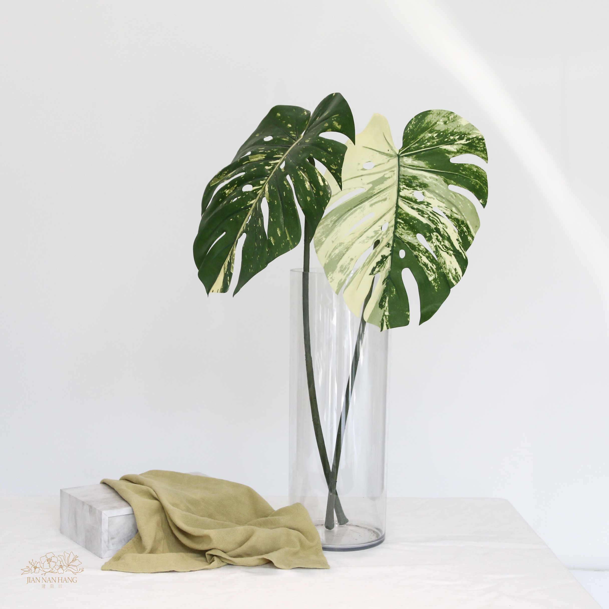 人造葉 龜背芋 2色