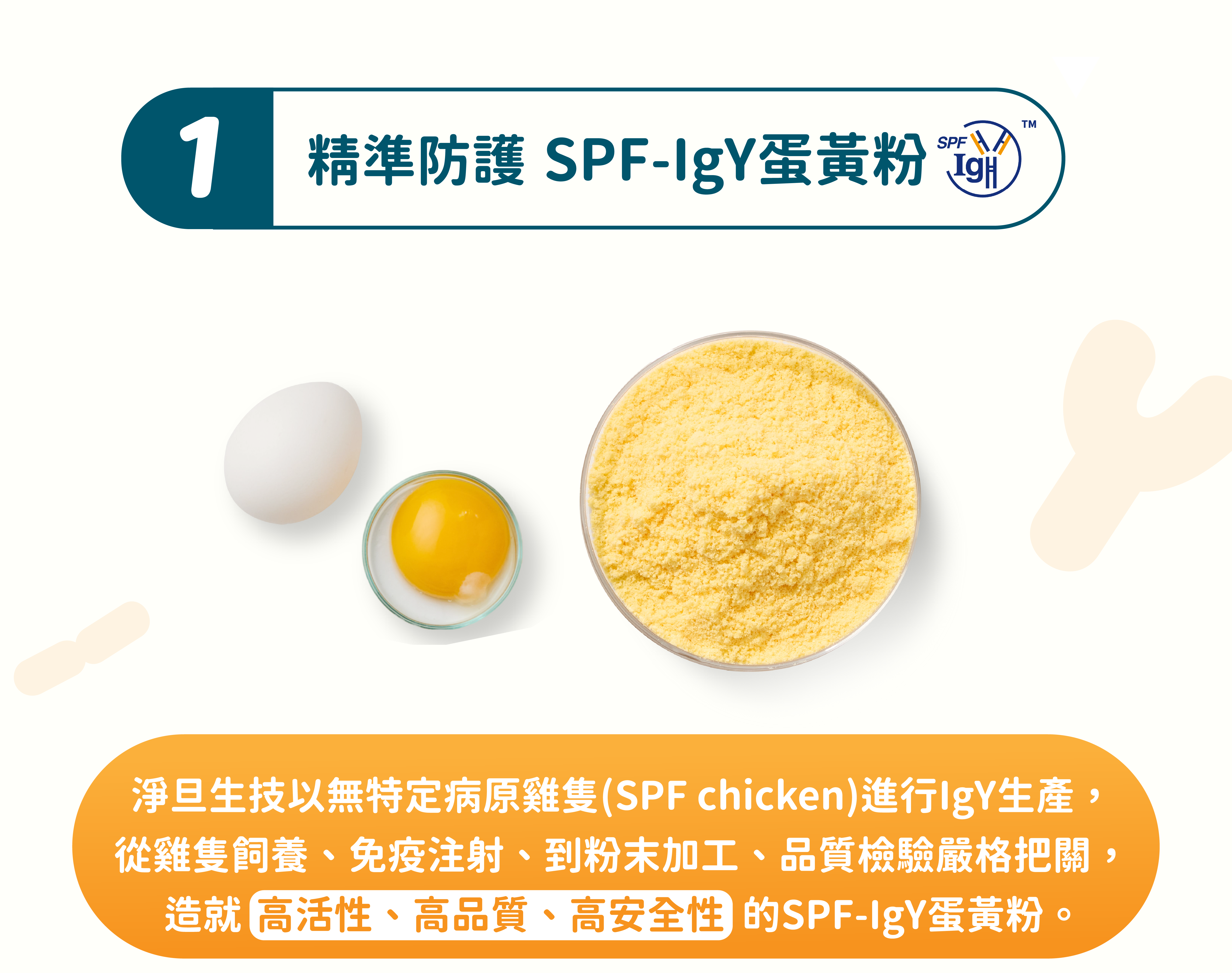 IgY 蛋黃粉來自SPF雞蛋的溫和抗體，不破壞體內菌叢，維持消化道機能。