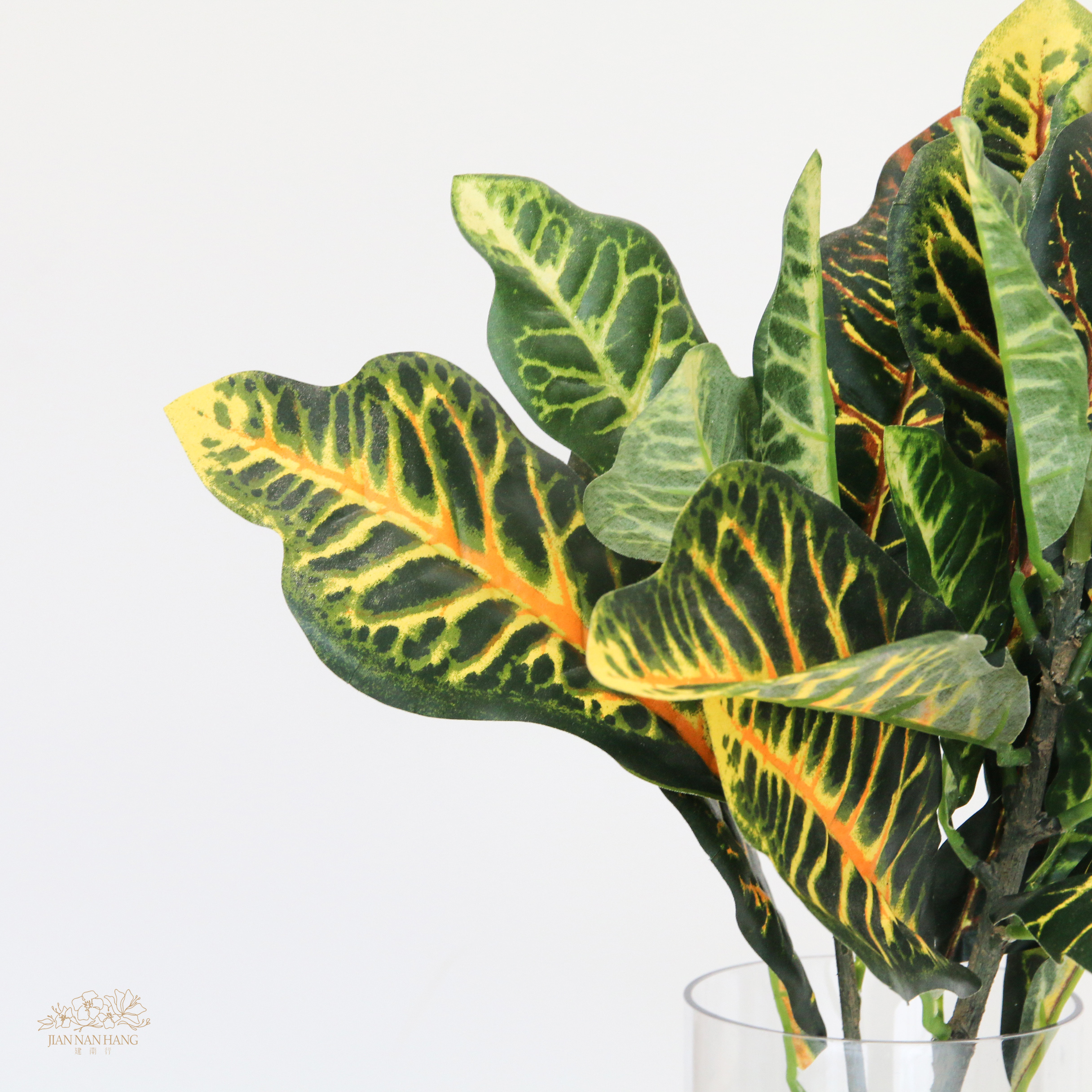 人造葉 變葉木 綠