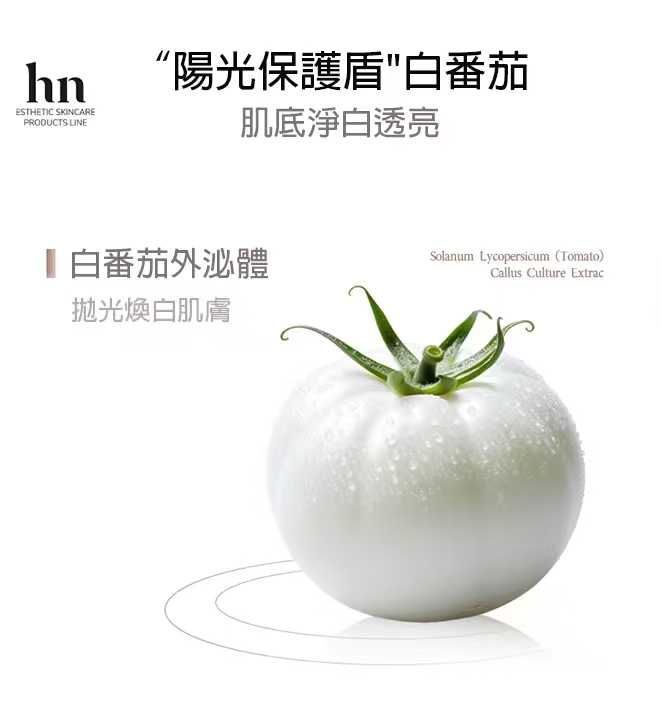 (7072) 荷諾調色隔離霜40g(有色)