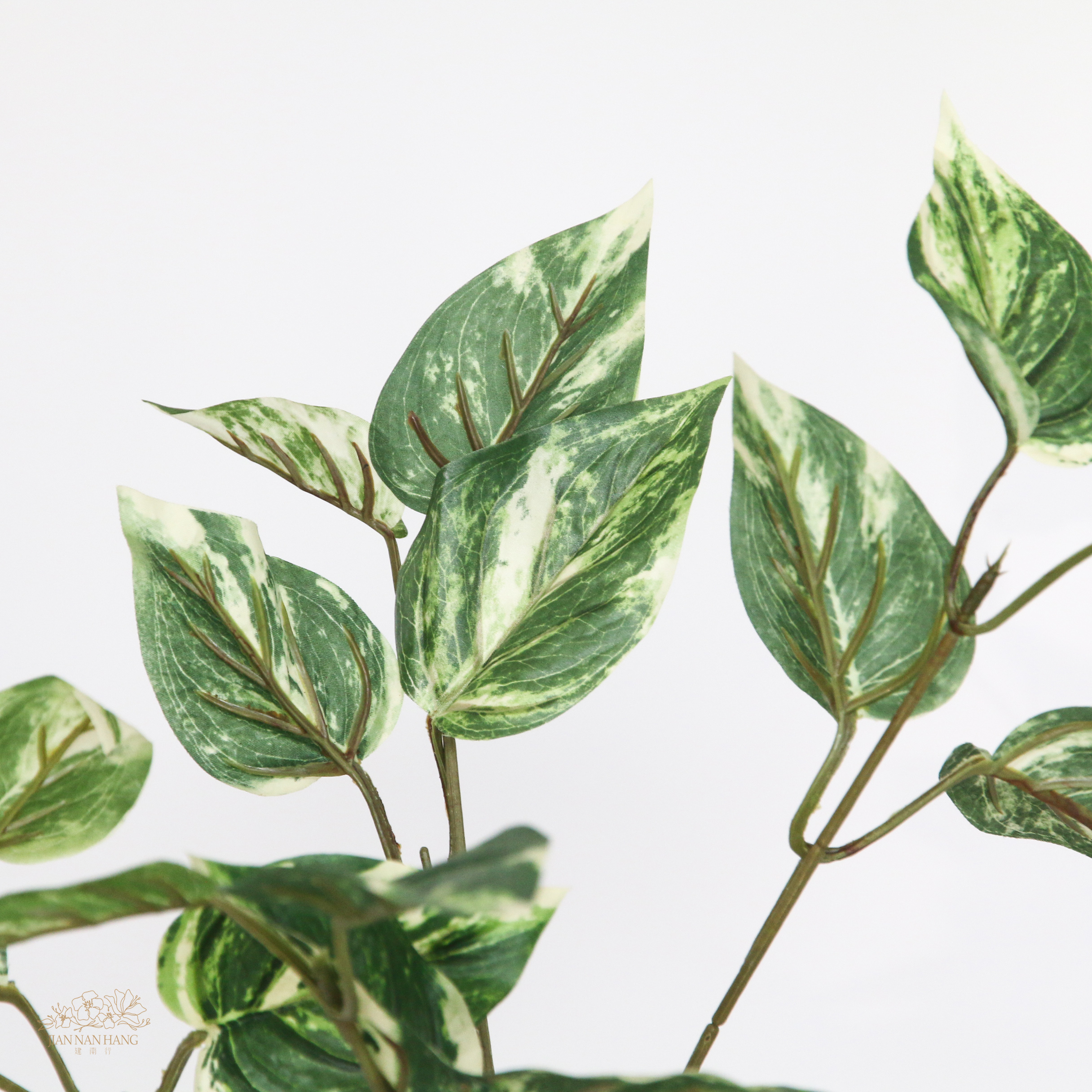 人造葉UV系列 黃金葛