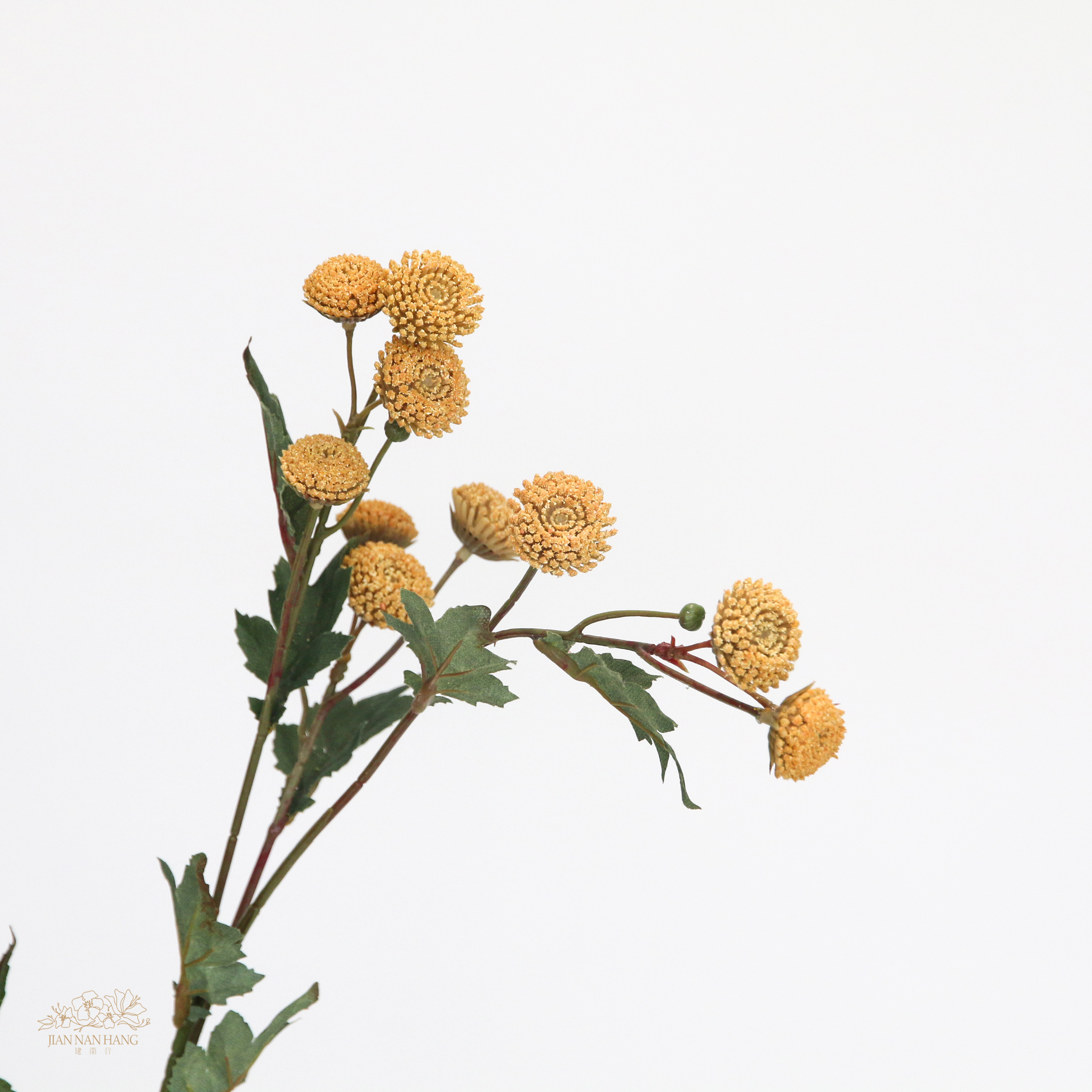 人造花 杭菊 2色