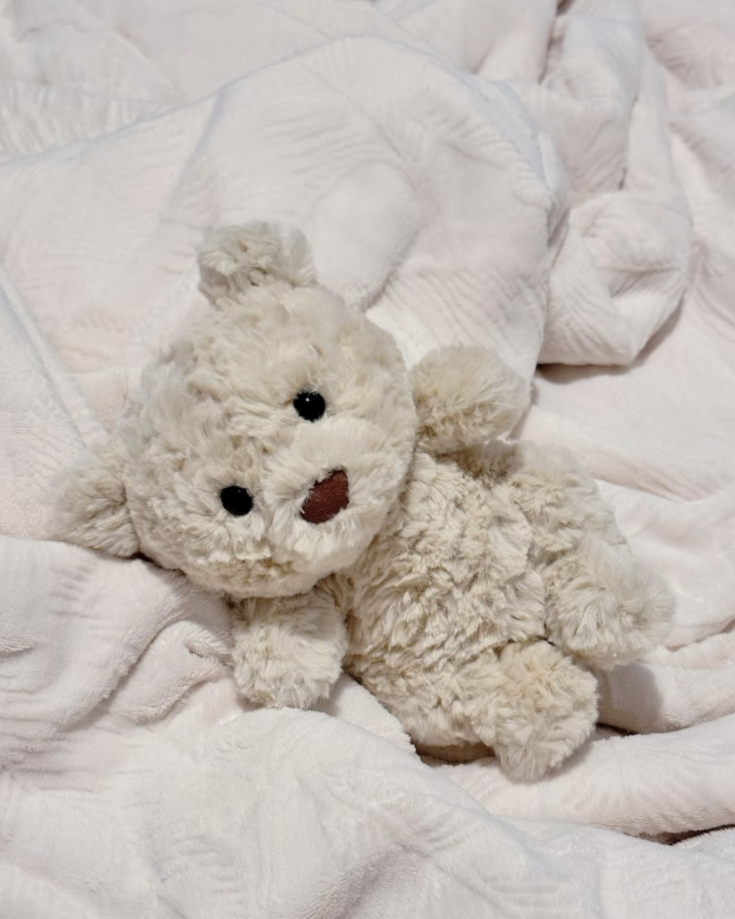 JELLYCAT 小巴塞羅熊 小熊崽 毛絨娃娃 17cm