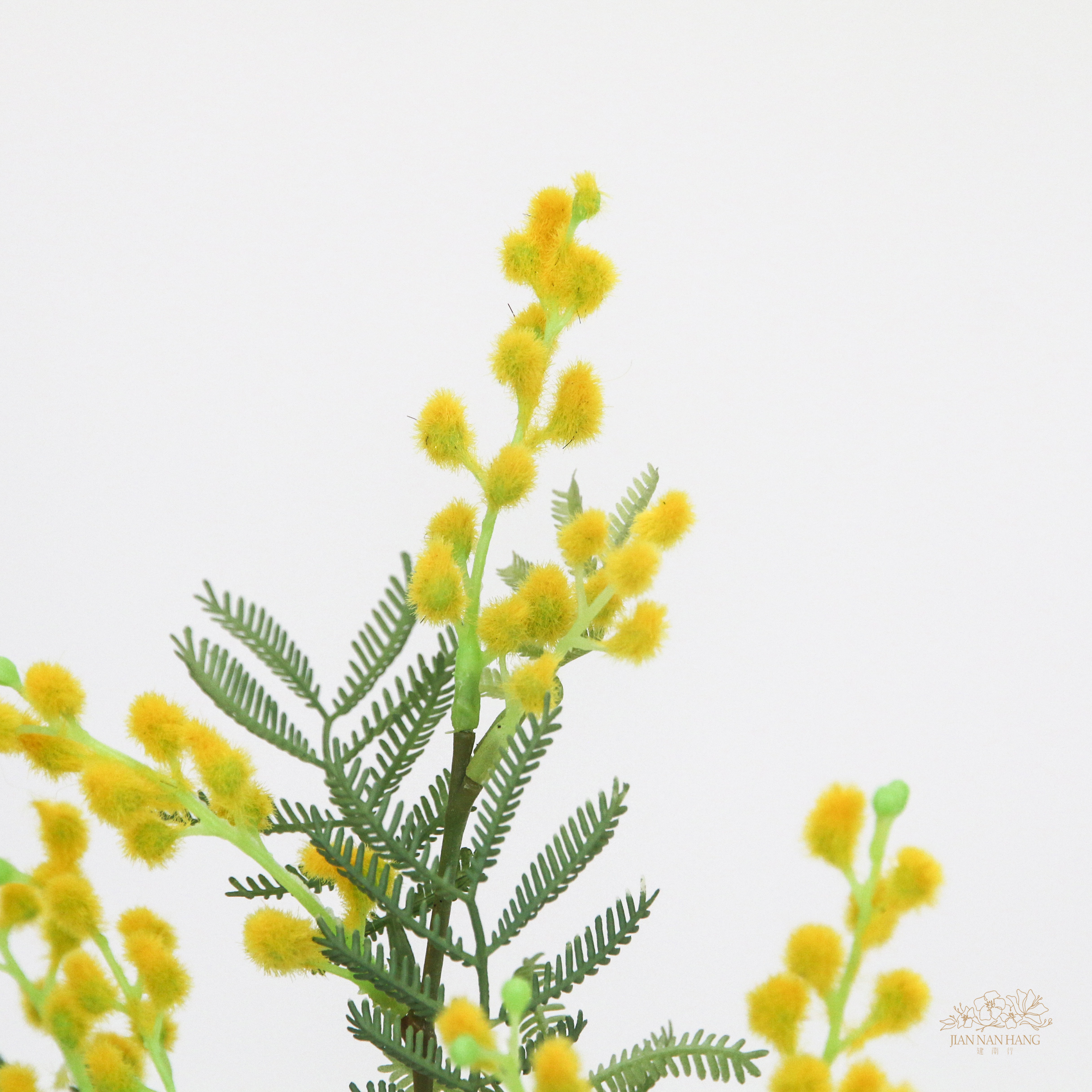 人造花 含羞草/金合歡 長枝