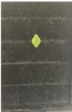 274627碧玉四叶草戒指*折實滿$699包順豐智能櫃*154live