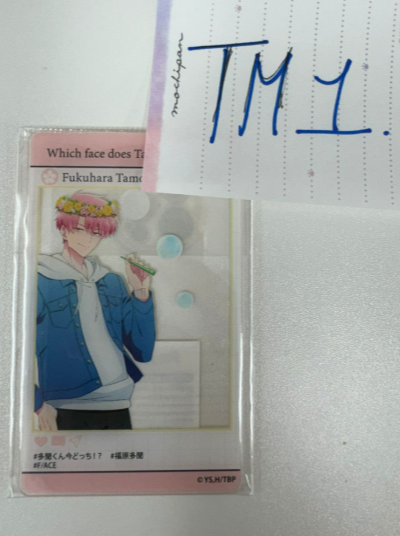 現在的是哪一個多聞！？ 多聞 膠卡#TM1